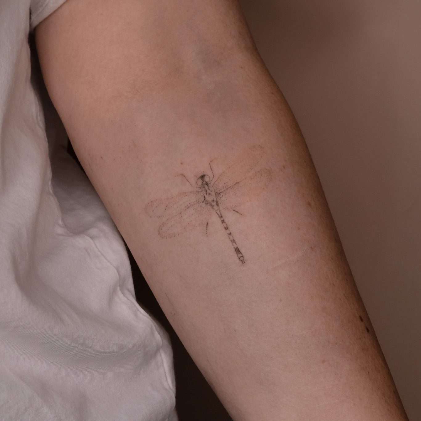 Newsletter photo Dragonfly tattoo newsletter photos